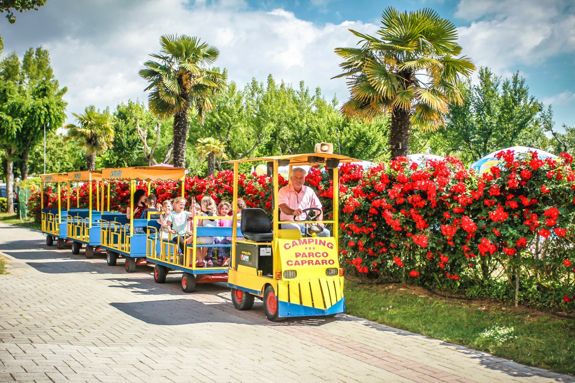 Camping Parco Capraro ليدو دي يسولو المظهر الخارجي الصورة