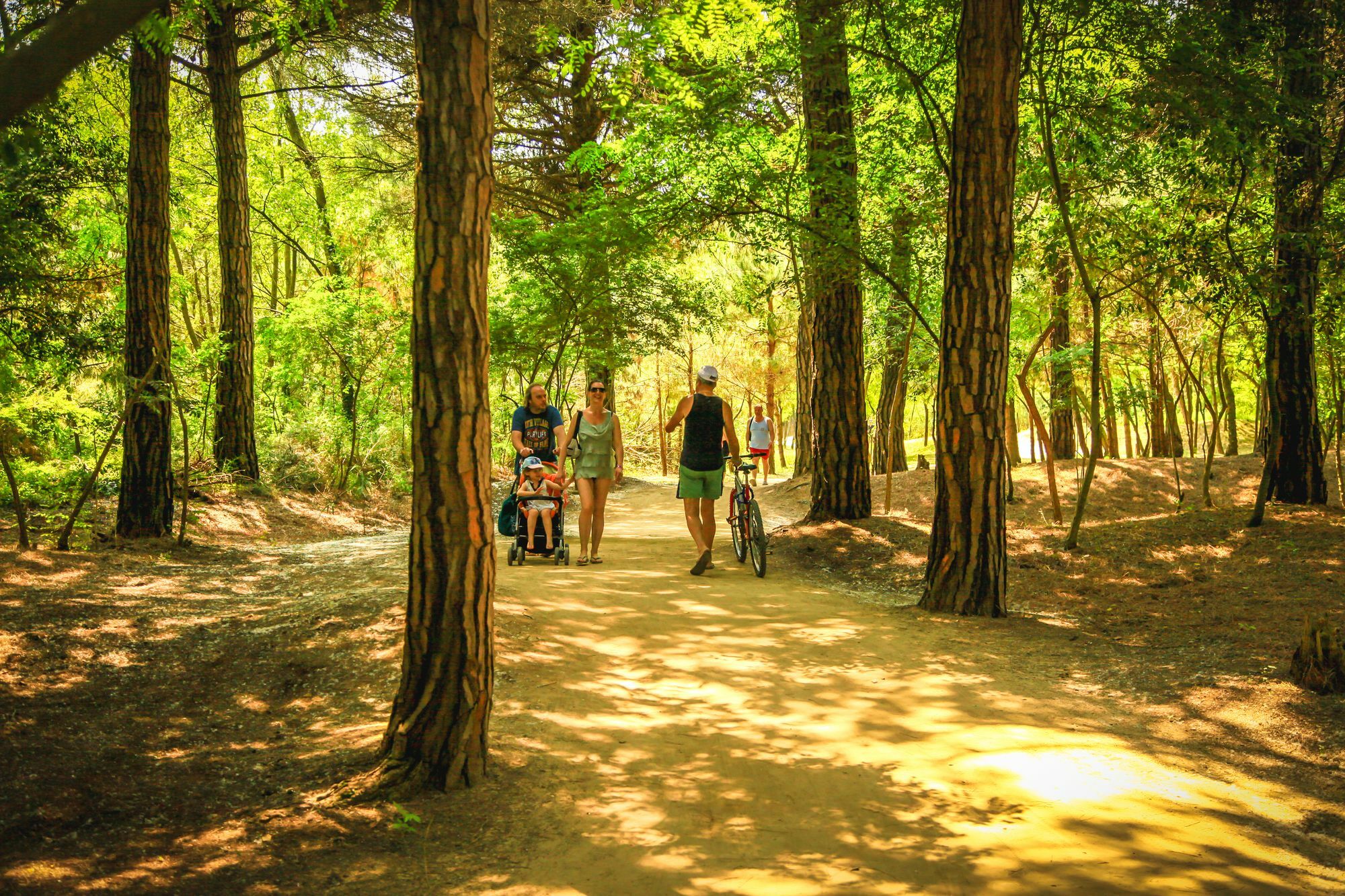 Camping Parco Capraro ليدو دي يسولو المظهر الخارجي الصورة